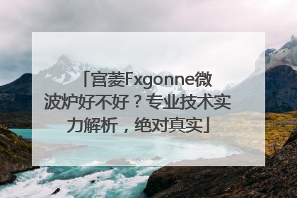宫菱Fxgonne微波炉好不好？专业技术实力解析，绝对真实