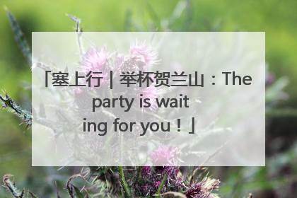 塞上行｜举杯贺兰山：The party is waiting for you！