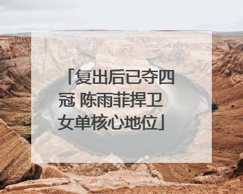 复出后已夺四冠 陈雨菲捍卫女单核心地位