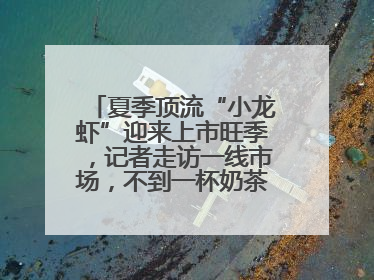 夏季顶流“小龙虾”迎来上市旺季，记者走访一线市场，不到一杯奶茶钱就能买斤虾