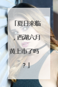 夏日来临，西湖六月黄上市了吗？