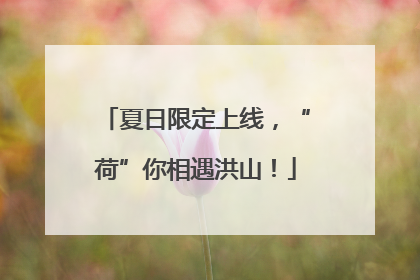 夏日限定上线，“荷”你相遇洪山！
