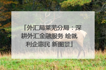 外汇局莱芜分局：深耕外汇金融服务 绘就利企惠民 新图景