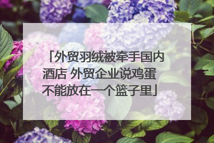 外贸羽绒被牵手国内酒店 外贸企业说鸡蛋不能放在一个篮子里