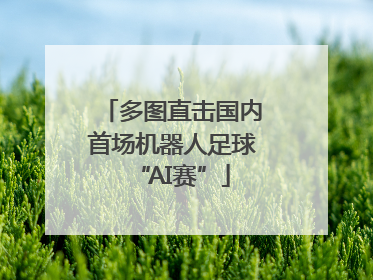 多图直击国内首场机器人足球“AI赛”