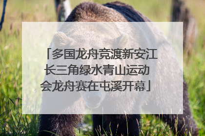 多国龙舟竞渡新安江 长三角绿水青山运动会龙舟赛在屯溪开幕
