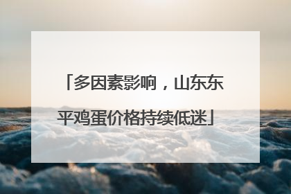 多因素影响，山东东平鸡蛋价格持续低迷