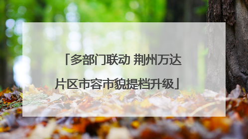 多部门联动 荆州万达片区市容市貌提档升级
