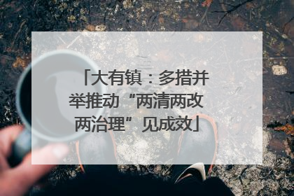 大有镇：多措并举推动“两清两改两治理”见成效