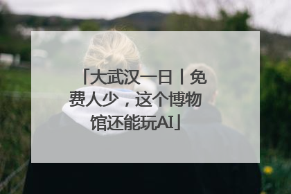 大武汉一日丨免费人少，这个博物馆还能玩AI