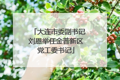 大连市委副书记刘恩举任金普新区党工委书记