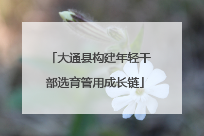 大通县构建年轻干部选育管用成长链