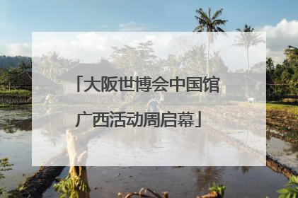 大阪世博会中国馆广西活动周启幕