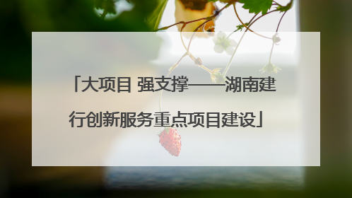 大项目 强支撑——湖南建行创新服务重点项目建设