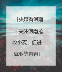 央媒看河南｜关注河南抢收小麦、促进就业等内容