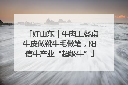 好山东｜牛肉上餐桌牛皮做靴牛毛做笔，阳信牛产业“超级牛”