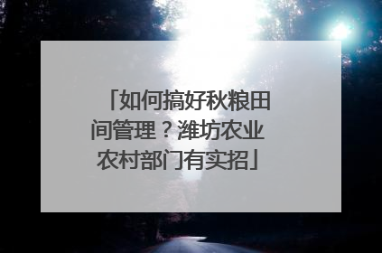 如何搞好秋粮田间管理？潍坊农业农村部门有实招