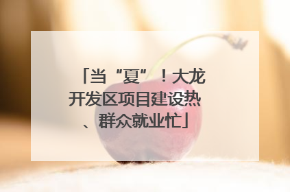 当“夏”！大龙开发区项目建设热、群众就业忙