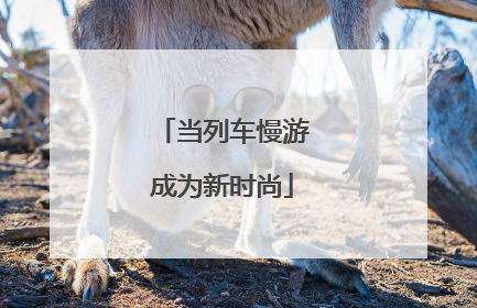 当列车慢游成为新时尚