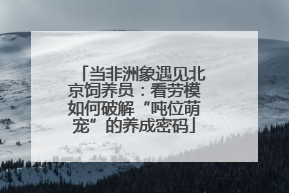 当非洲象遇见北京饲养员：看劳模如何破解“吨位萌宠”的养成密码