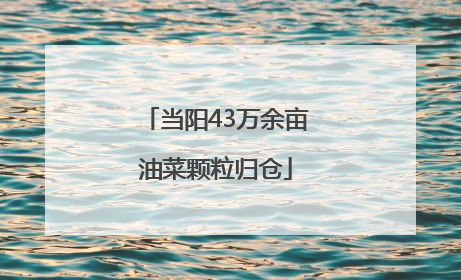 当阳43万余亩油菜颗粒归仓