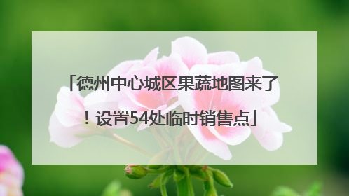德州中心城区果蔬地图来了！设置54处临时销售点