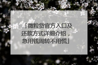 微粒贷官方入口及还款方式详细介绍，急用钱周转不用慌