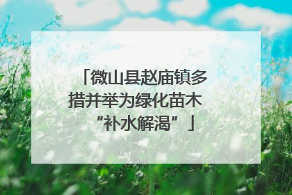 微山县赵庙镇多措并举为绿化苗木“补水解渴”