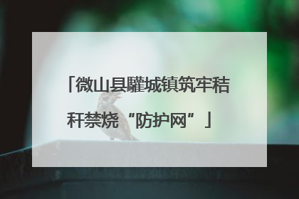 微山县驩城镇筑牢秸秆禁烧“防护网”
