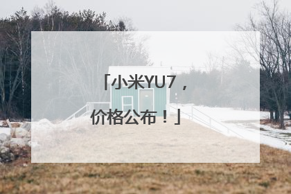 小米YU7，价格公布！