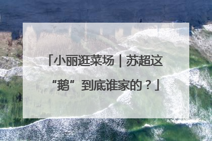 小丽逛菜场｜苏超这“鹅”到底谁家的？