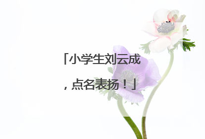 小学生刘云成，点名表扬！