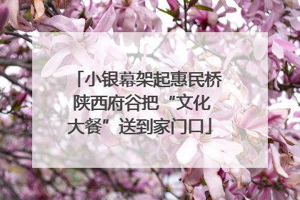 小银幕架起惠民桥 陕西府谷把“文化大餐”送到家门口