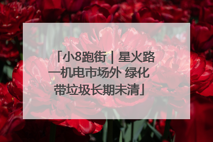 小8跑街｜星火路一机电市场外 绿化带垃圾长期未清