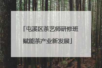 屯溪区茶艺师研修班赋能茶产业新发展