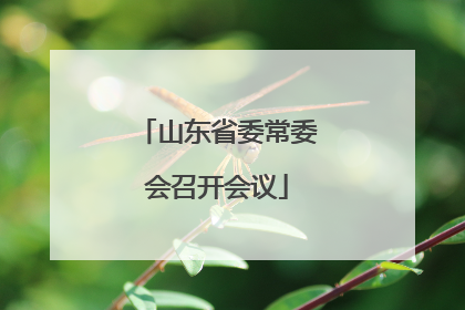 山东省委常委会召开会议