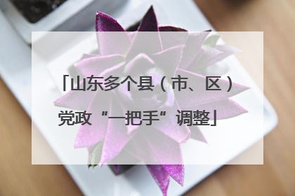 山东多个县（市、区）党政“一把手”调整