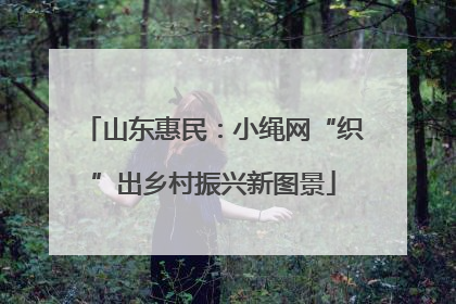 山东惠民：小绳网“织”出乡村振兴新图景