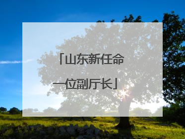 山东新任命一位副厅长