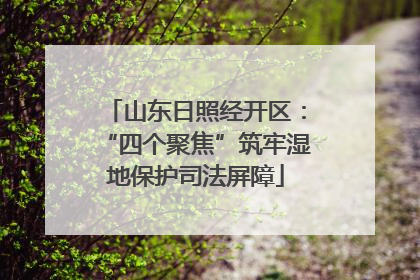 山东日照经开区：“四个聚焦”筑牢湿地保护司法屏障
