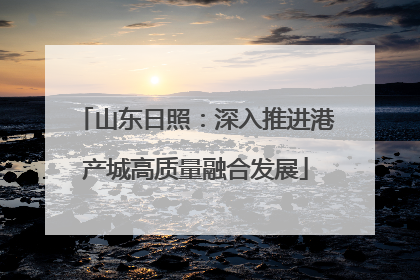 山东日照：深入推进港产城高质量融合发展