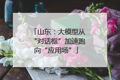 山东：大模型从“对话框”加速跑向“应用场”