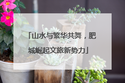 山水与繁华共舞，肥城崛起文旅新势力