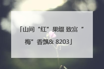 山间“红”果缀 致富“梅”香飘& 8203