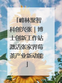 峰林聚智 科创兴张｜博士创新工作站激活张家界莓茶产业新动能