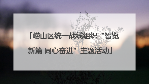 崂山区统一战线组织“智览新篇 同心奋进”主题活动