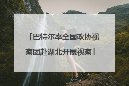 巴特尔率全国政协视察团赴湖北开展视察
