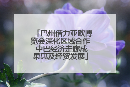 巴州借力亚欧博览会深化区域合作 中巴经济走廊成果惠及经贸发展