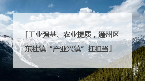 工业强基、农业提质，通州区东社镇“产业兴镇”扛担当