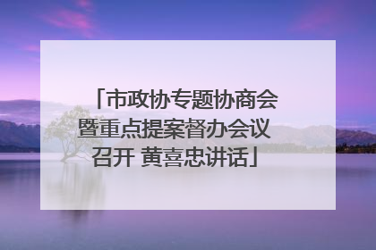 市政协专题协商会暨重点提案督办会议召开 黄喜忠讲话